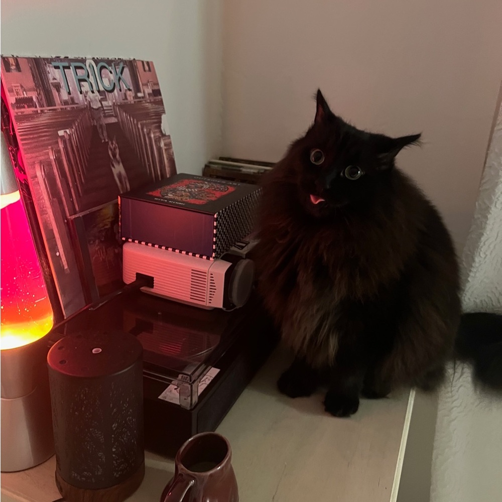 meet seller <3